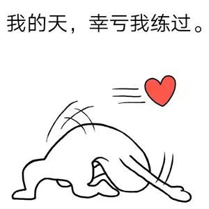 我的天幸亏我练过