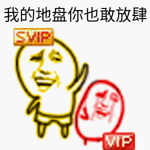 我的地盘你也敢放肆VIP