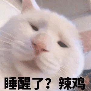 睡醒了辣鸡