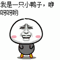 我是只小鸭子咿呀咿呀哟