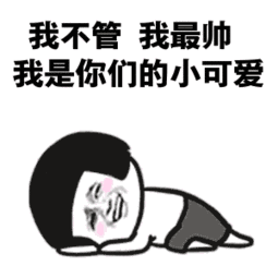 我不管我最帅我是你们的小可爱