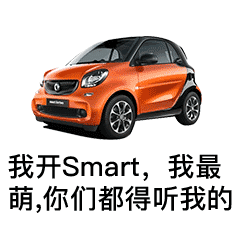 我开Smart我最萌你们都得听我的