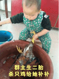 群主生二胎杀只鸡给她补补