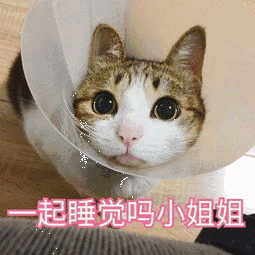 起睡觉吗小姐姐